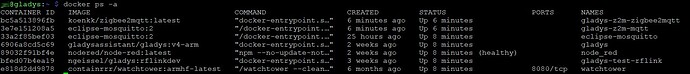 2021_11_14_zigbee_docker_ps-a