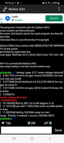 Screenshot_20220331-191554_Mobile SSH