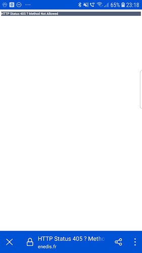 Scree nshot_20230410-231857_Firefox