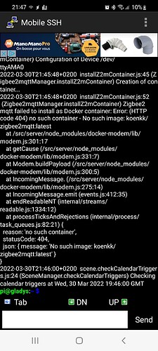 Screenshot_20220330-214734_Mobile SSH