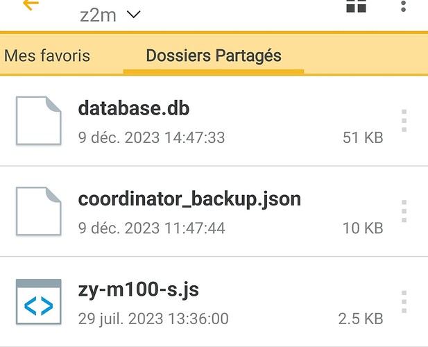 Screenshot_20231209_154110_DS file