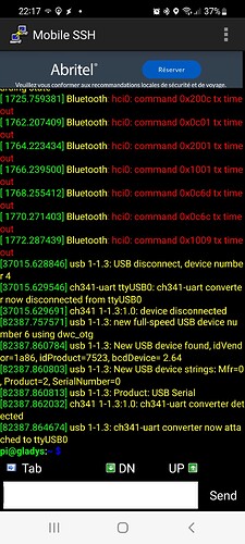 Screenshot_20220406-221719_Mobile SSH