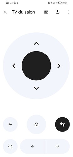 Screenshot_20231011_203713_com.google.android.apps.chromecast.app