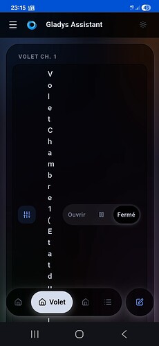 Screenshot_20260829_231554_Chrome